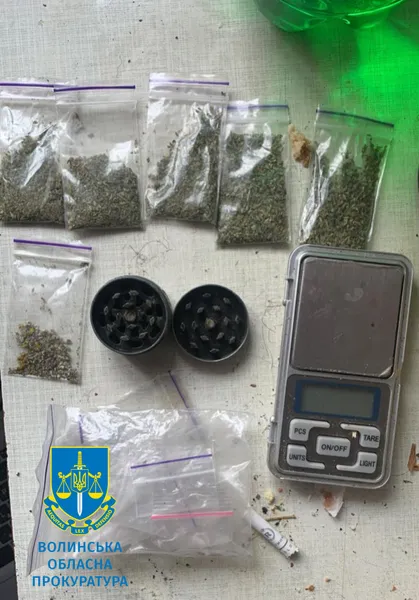 21-річного лучанина посадили на шість років за збут канабісу (фото)