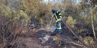 Балкон, будинок та гектари сухостою: як на Волині рятувальники гасили пожежі  (фото)