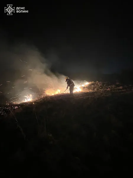 На Волині через людську недбалість вигоріли понад 5 гектарів поля (фото)