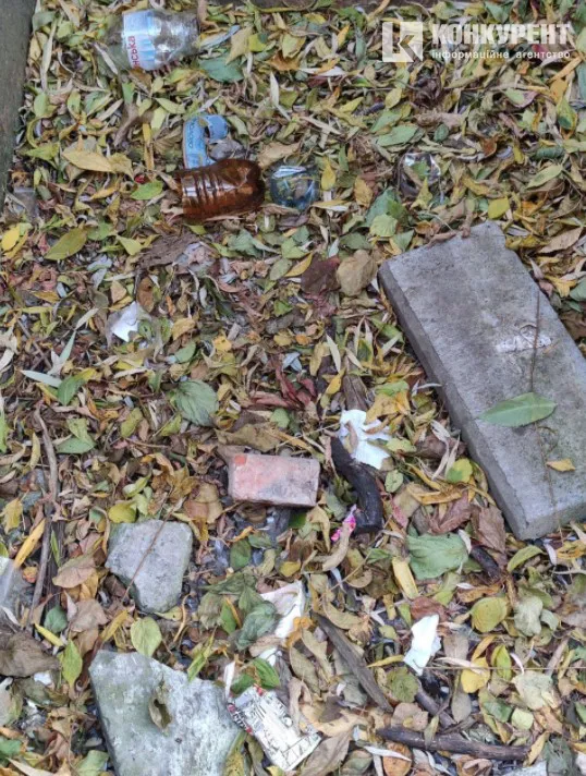 Без пияків, пляшок та шприців: як може змінитись частина берегу Сапалаївки (фото)