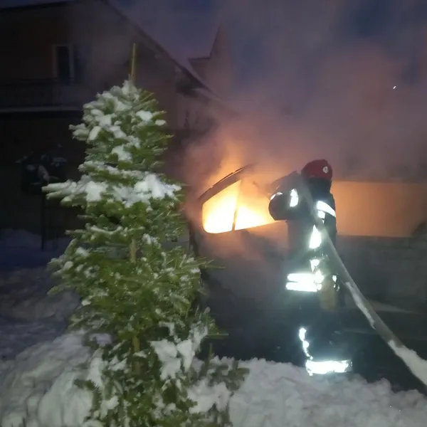 Пожежі, повалені дерева, застряглі авто: що робили волинські рятувальники у неділю (фото)