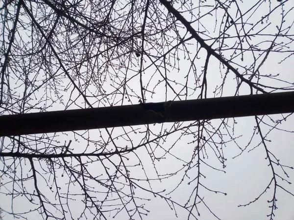 Нові обстріли: на Луганщині бойовики обстріляли ліцей, де перебували 30 учнів