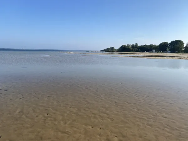 Вода відступила на 70 метрів: показали, яким став Світязь (фото)