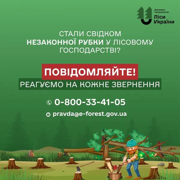 Волинян закликають повідомляти про незаконну рубку в лісах