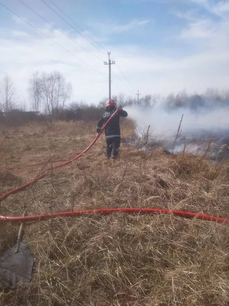 На Волині знову горіли чагарники: за добу – п’ять пожеж (фото)