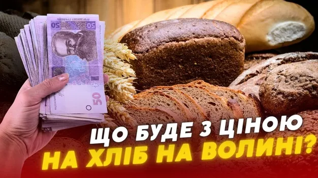 Коли і на скільки подорожчає хліб на Волині: думки експертів (відео)