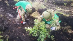 Волинські прикордонники висадили понад сім тисяч молодих дерев (фото)