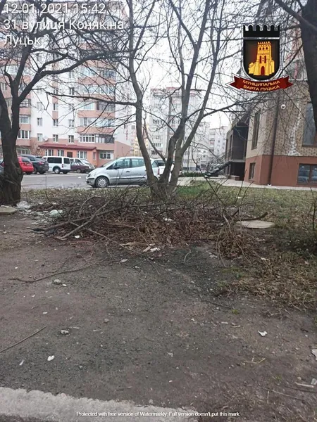 Лучанам нагадують: за гілля і будівельні відходи біля контейнерів – штраф (фото)