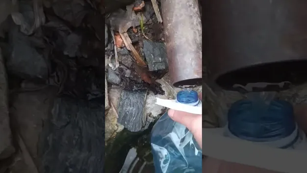В унікальних Оконських джерел на Волині знову б'є вода (відео)