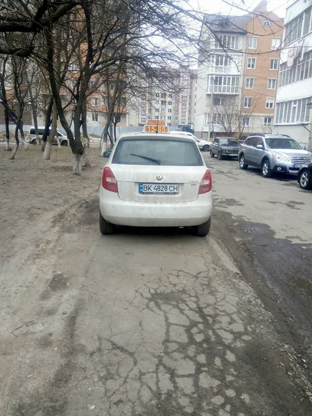 Бордюри ніби медом помазані: муніципали показали автохамів (фото)