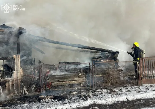 Було море диму: у Володимирському районі з вогню врятували котика (фото)