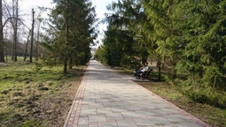 Човни, латання алей, кросфіт на пляжі: які плани на луцький парк?