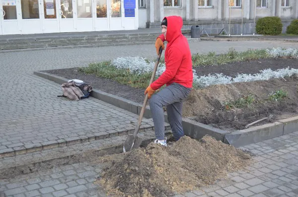 Штучна і на новому місці: у Ковелі готуються до встановлення новорічної ялинки (фото)
