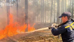 У Чорнобильській зоні досі вирує пожежа: вогонь поширився на 1200 га (фото)