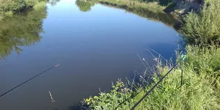 Ловиться і щука, і карась: біля Луцька є безкоштовна спокійна локація на Стиру для рибалок