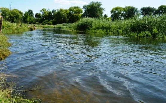 На Волині в річці виявили небезпечну інфекцію 