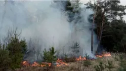За вихідні на Волині загасили 28 пожеж (фото, відео)