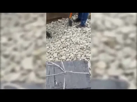 У потягах на «Ягодині» знайшли близько 2 500 пачок сигарет (відео)