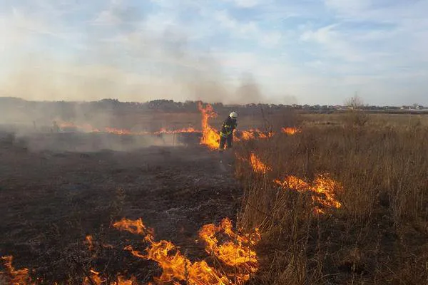 Автомобіль, сміття, трава: на Волині за добу ліквідували три пожежі