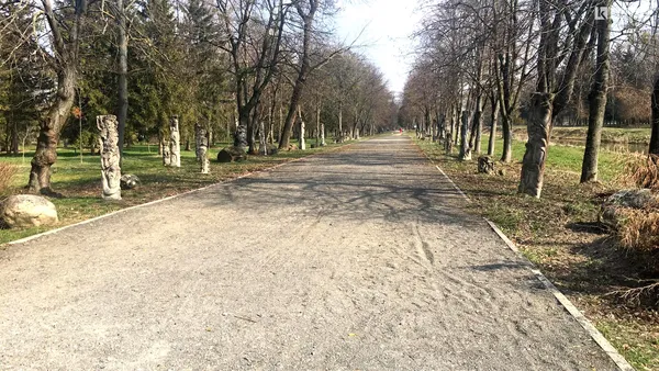 Безлюдна автостанція і «туси» в парку: як карантинить Луцьк 19 березня (фото)