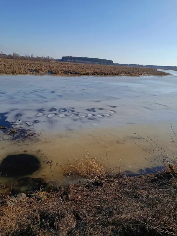 Волинська Амазонка скидає лід: показали, як у річці Стохід зашепотіла течія (фото)