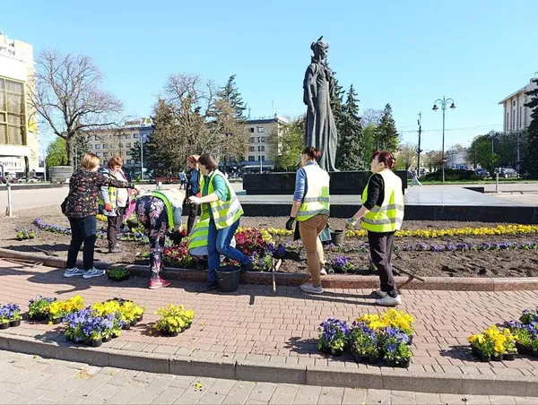 11 мільйонів на озеленення Луцька: як витрачають ці гроші