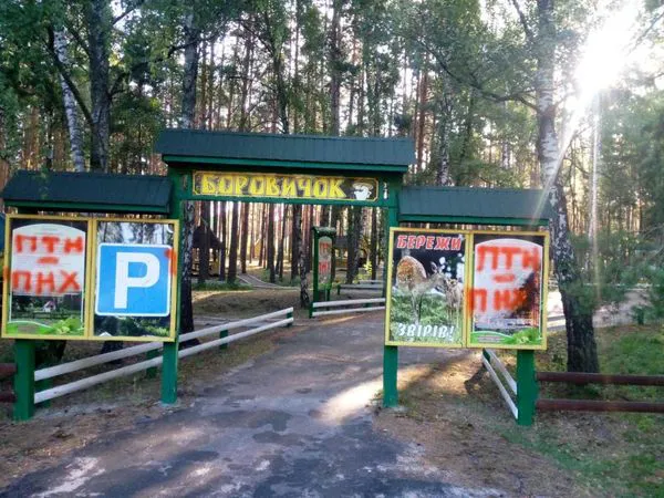 Патріотизм чи вандалізм: у рекреаційному пункті на Волині залишили нецензурні написи про путіна (фото)