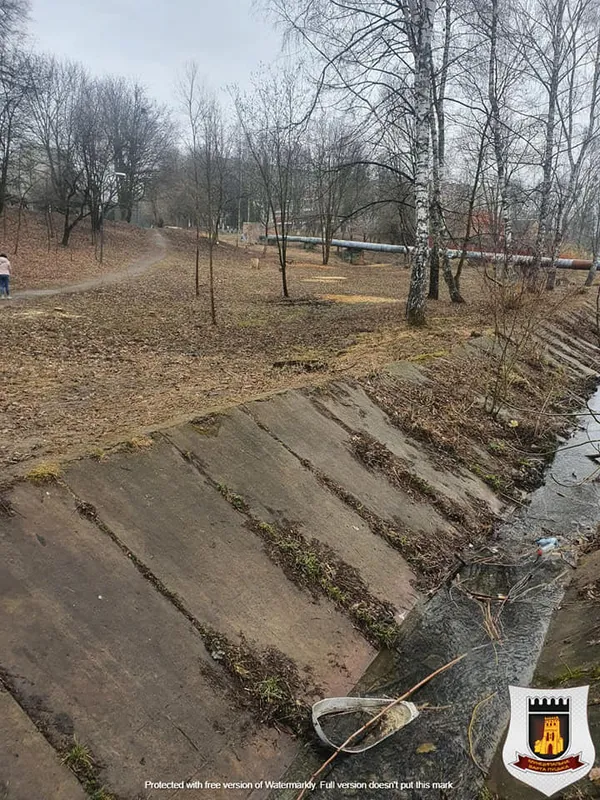 Зламані ліхтарі та пошкоджені лавки: «Дубовий гай» у Луцьку візьмуть під відеонагляд (фото)