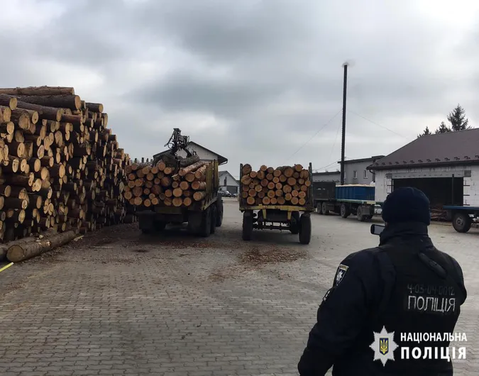 Деревина і бурштин: на волинських лісопильнях – масові обшуки (фото, відео)