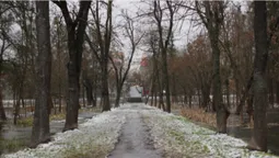 Підтоплені дерева та відчайдушні бігуни: ранок у луцькому парку (фото)