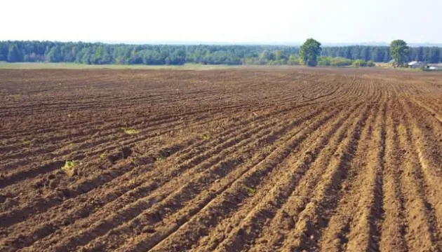 65 тисяч гектарів: волинські громади отримають землю