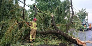 Після буревію у Луцьку рятувальники прибирали дерева з доріг і дворів (фото)