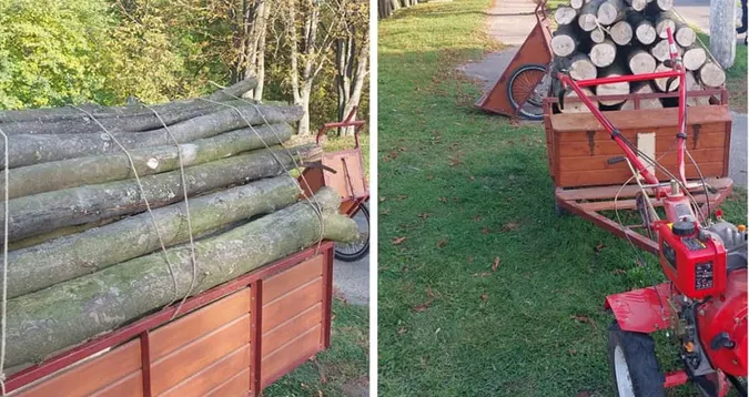 У Луцьку чоловік заготовляв дрова у парку (фото)