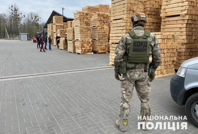 Незаконні рубки лісу та підробка документів: службовій особі волинського підприємства оголосили підозру