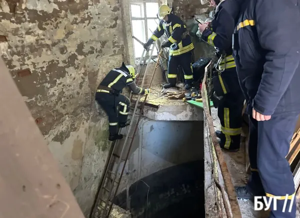 У Нововолинську пес провалився у каналізаційну яму (фото)
