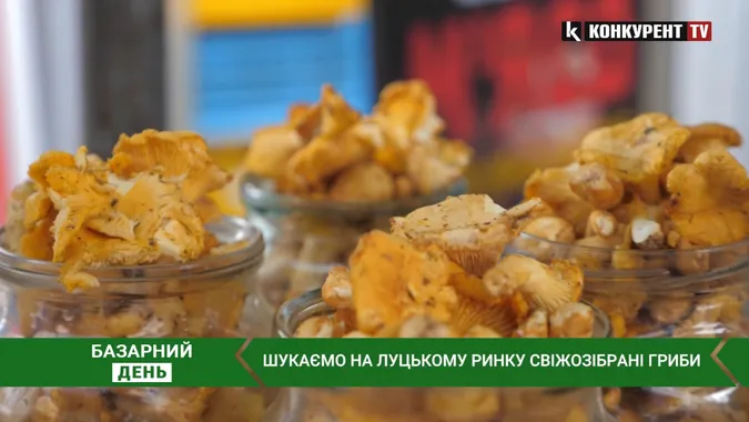 Скільки коштують свіжі гриби у Луцьку на базарі (відео)