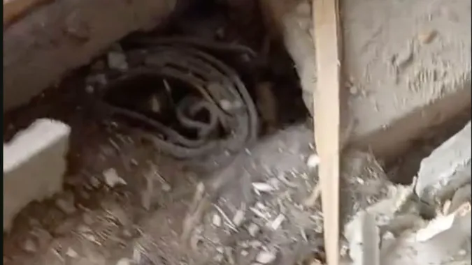 У Луцьку під час ремонту чоловік знайшов «капсулу часу» (відео)