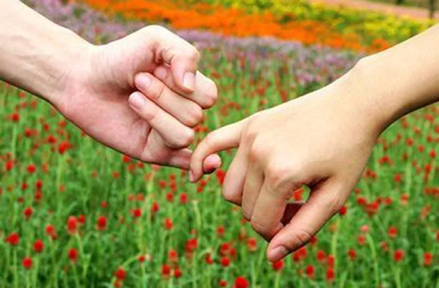 У Луцьку миритимуть подружжя: запрацює Центр медіації