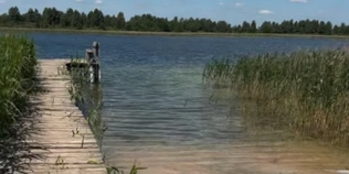 На Волині є прозоре озеро, де можна купатися голяка (відео)