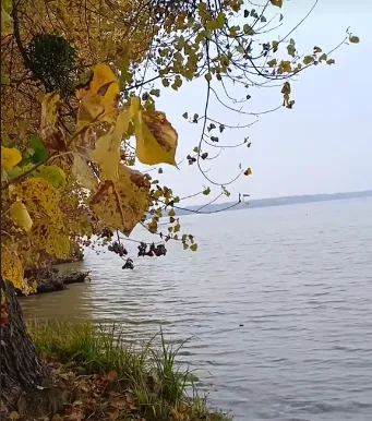 Який вигляд має Світязь у кінці жовтня (фото)