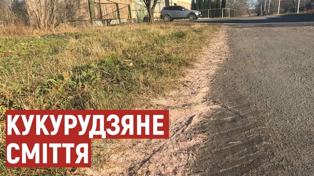 Забруднює повітря: на Волині селяни бідкаються на кукурудзяне лушпиння (фото, відео)