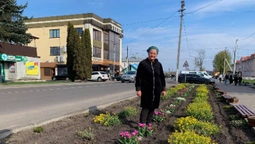 🌷Висадила тисячу тюльпанів: як квітникарка роками змінює Шацьк (фото)