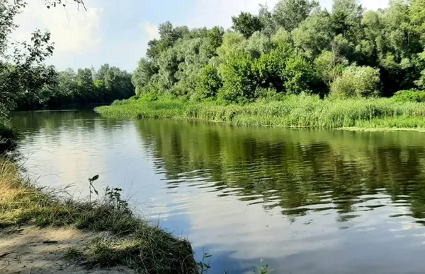 Де порибалити неподалік Волині: найкращі озера, річки та ставки (фото)