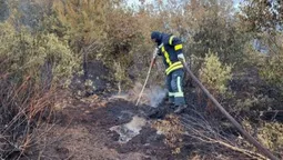 Балкон, будинок та гектари сухостою: як на Волині рятувальники гасили пожежі  (фото)
