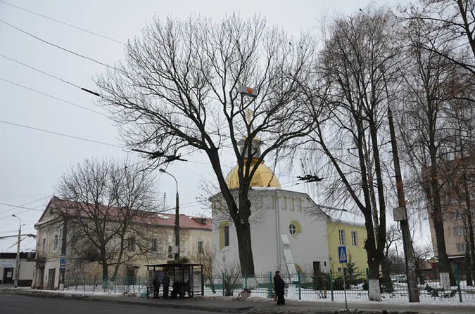 У Луцьку просять забрати ще дві зупинки поблизу Старого ринку