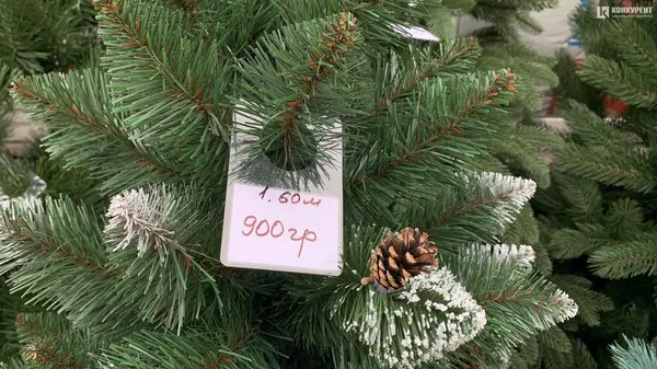 Скільки коштують ялинки на «Варшавському ринку» Луцька (фото)