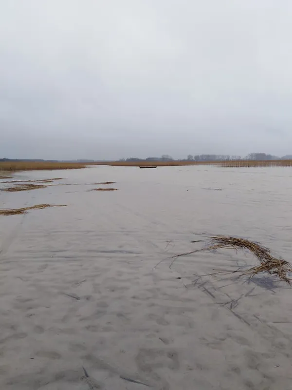 Світязь повертається: показали свіжі фото з волинського озера (фото)