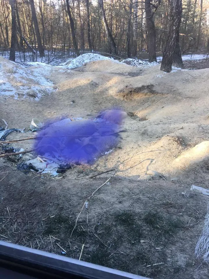 На Волині в лісі знайшли туші дохлих свиней (ФОТО. 18+)