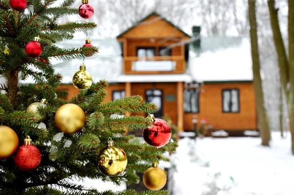 Волинські лісівники нагородили маленьких майстрів новорічних іграшок (фото)