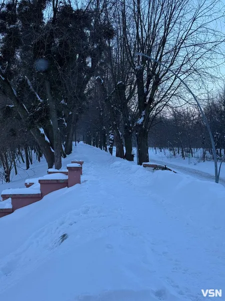У Луцьку в центральному парку в мороз -17 °C бігав чоловік без одягу (фото, відео)